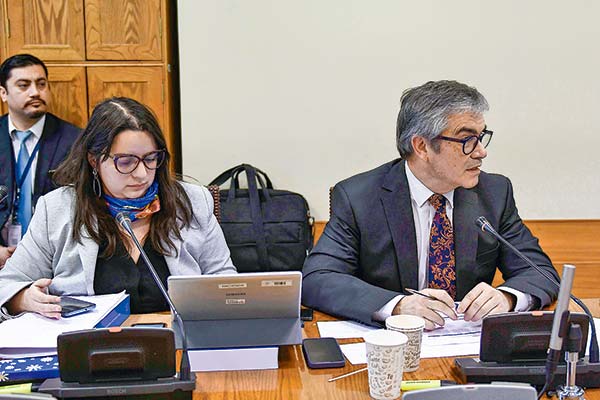 La directora de Presupuestos, Javiera Martínez, junto al ministro de Hacienda, Mario Marcel, en el Congreso. Foto: Agencia Uno