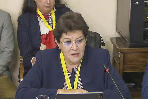 <p>Mónica Hodor, nueva gerenta general de Enel Distribución.</p>