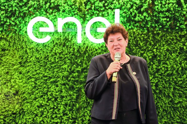 <p>La mano de Mónica Hodor en Enel Distribución</p>