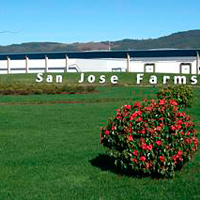 Imagen foto_03