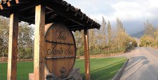 Estrategia en vinos premium impulsa alza de 65,6% en utilidades de Viña Santa Rita