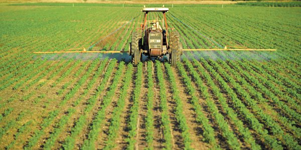 Traspié veraniego: empresarios agrícolas se sumergieron en el pesimismo durante enero