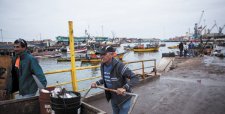 Recursos pesqueros en el norte caen a menor nivel en 20 años por fenómeno de El Niño