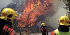 Siguen las malas noticias: declaran Alerta Roja para Valdivia por incendio forestal