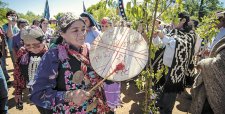 Plan Araucanía: surgen dudas sobre reparación a las víctimas