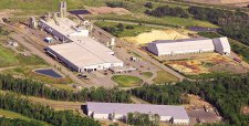 Ejecutivos de Arauco visitan planta de Eldorado en Brasil para posible compra y son recibidos con bandera de Chile