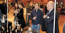 Vinos Íconos Chilenos cumple una década