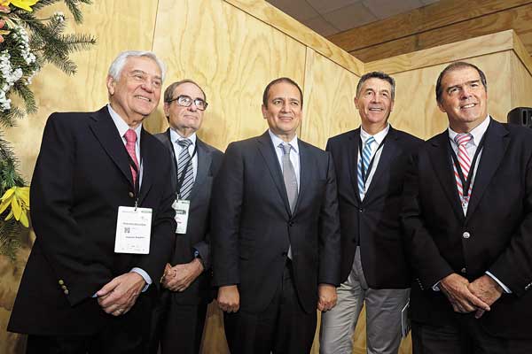 Angelini dice que podrían activar el proyecto más importante de Celulosa Arauco