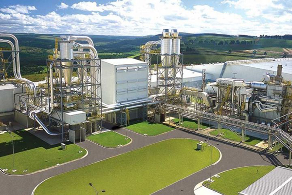 Autoridades brasileñas aprueban operación para que Arauco se quede con los activos que mantenía Masisa en ese país