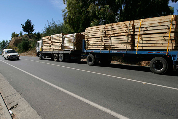 Exportaciones forestales chilenas llegarán a los US$ 5.400 millones el próximo año