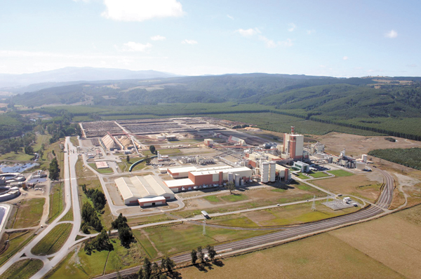 SMA cursa multa de $ 4.370 millones a Arauco