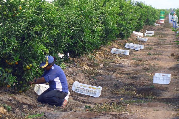Crece expectativa de un mejor ánimo empresarial tras un segundo año que escapó del pesimismo