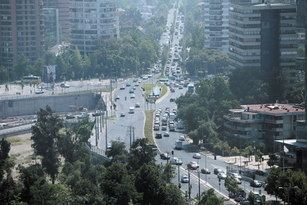 Disputa por efectos de los plátanos orientales en los alérgicos llega a Vitacura
