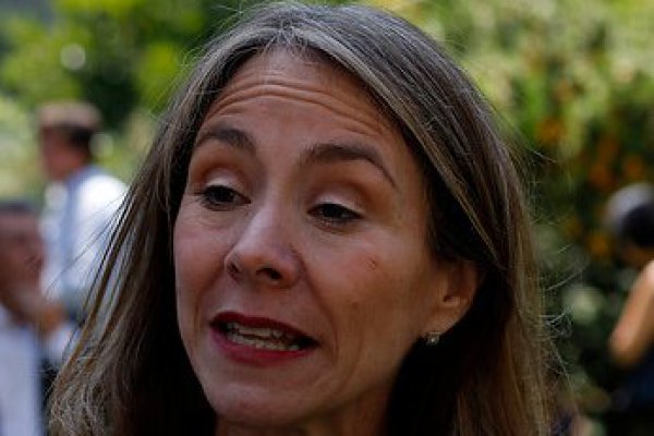 Esposo de recién nombrada Ministra de Energía renuncia al directorio de empresa del mismo rubro