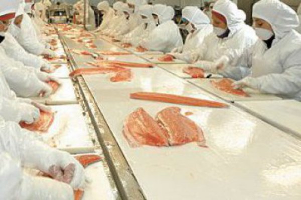 Salmones Camanchaca fija precio de la acción previo a subasta del 30% de la firma