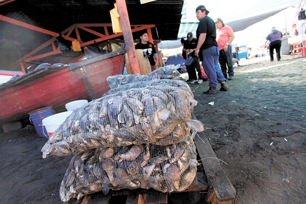 Marea roja sigue avanzando en Chiloé y autoridades amplían zona de prohibición