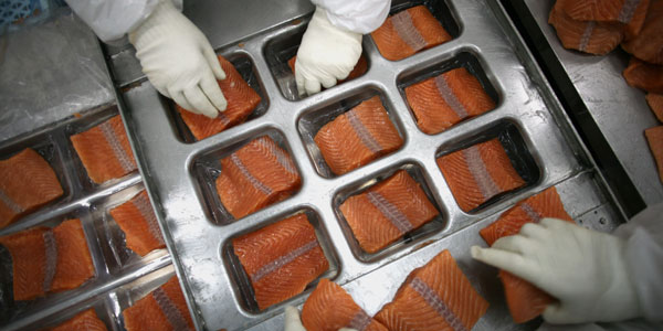 Marine Harvest cerró 2017 con ventas récord por US$ 4.400 millones