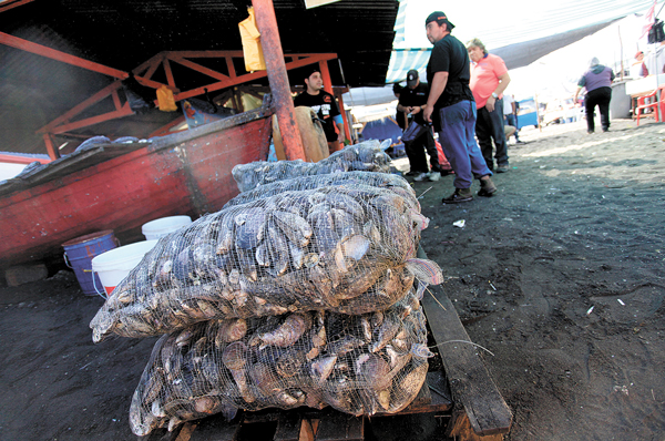 Marea roja se expande en Chiloé y obliga a ampliar zona de prohibición