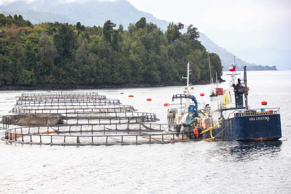 Salmoneros de Magallanes en alerta por eventual ampliación de áreas protegidas