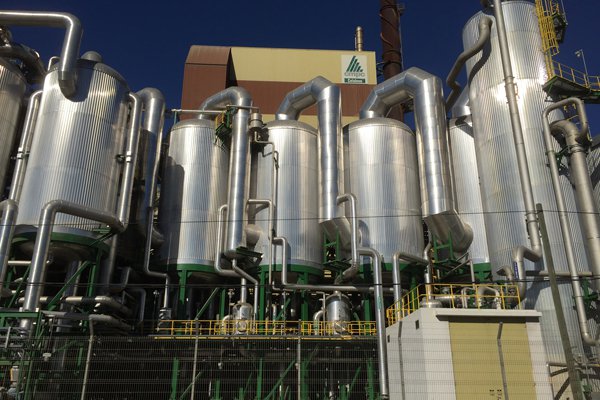 Acciones de CMPC suben con fuerza por posible fusión de papeleras rivales en Brasil