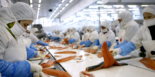 Mayores volúmenes de ventas llevaron a Multiexport a incrementar en un 69% sus utilidades al cierre de 2017