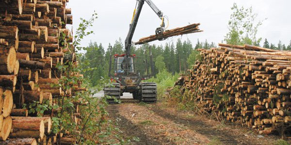 Utilidades de Celulosa Arauco crecen 26% durante el último año