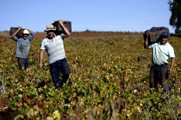 <p>Plan de reestructuración de Concha y Toro generará ahorros por $ 18.000 millones desde 2019</p>