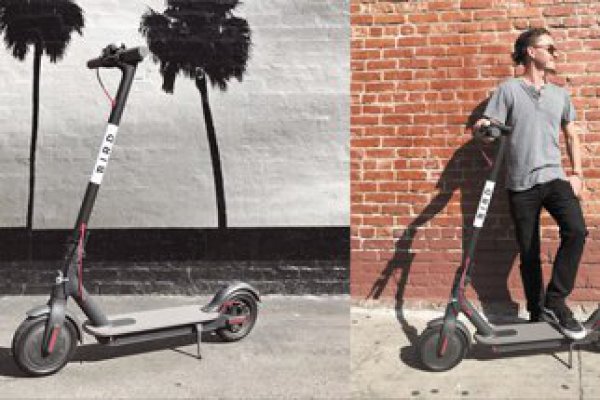 Scooters eléctricos compartidos: crece la competencia y el atractivo para los inversionistas
