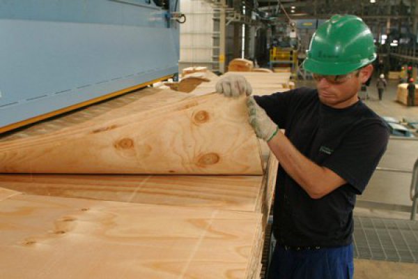 Acciones de CMPC alcanzan su precio más alto en más de siete años