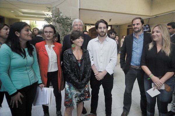 CAE: la estrategia PS para controlar comisión investigadora