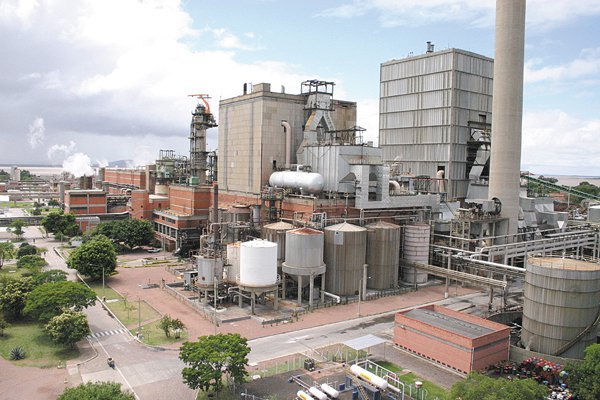 CMPC: “Crecimiento orgánico en Brasil no será antes de siete años”
