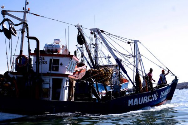 Pesqueros marchan contra moción que cambia método de extracción de la jibia