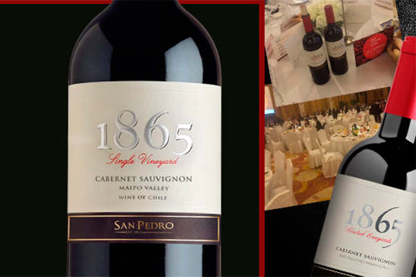 Viña San Pedro registró caída de 60% en ganancias del primer trimestre por mayor costo del vino
