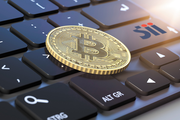 SII define criterio para criptomonedas: no pagan IVA pero su compra y venta debe registrarse