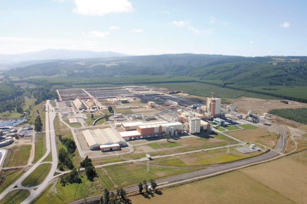 Arauco recurre al TC en medio de disputa con Super de Medio Ambiente por millonaria multa