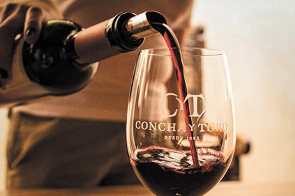 Vinos Premium impulsan ventas de Concha y Toro en Chile