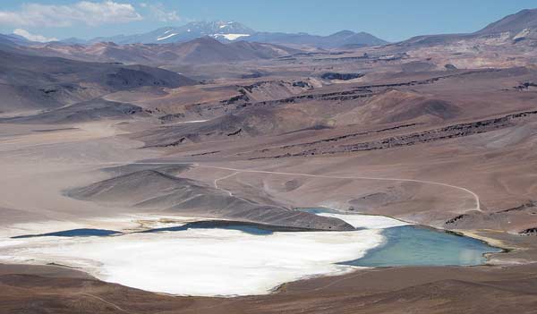 Tribunal Constitucional rechaza recurso contra Codelco por extracción de litio en Maricunga