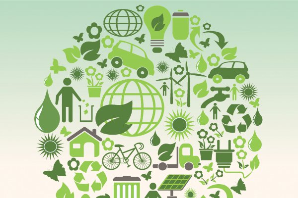 Economía circular: clave en la visión empresarial de hoy