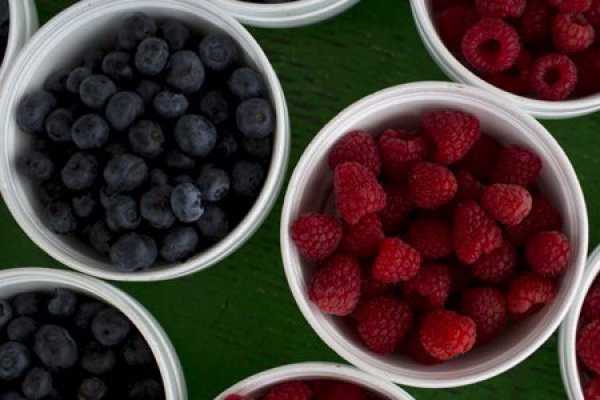 Hortifrut cierra primer trimestre con alza de 7,9% en ingresos
