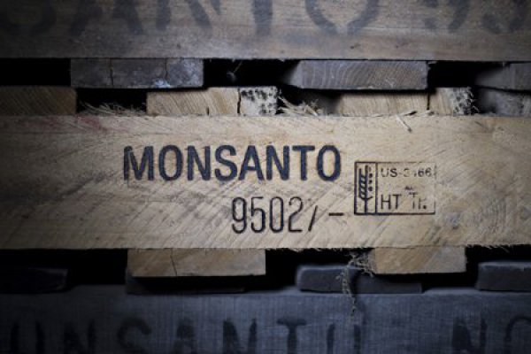 Bayer cerrará la compra de Monsanto el 7 de junio y ampliará capital