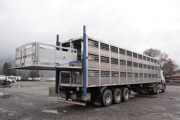 Agrosuper moderniza el transporte de cerdos