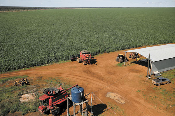 Gravámenes de EEUU impulsan el comercio de soya a favor de Brasil