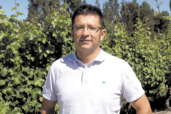Via Wines tras condena en EEUU: “deben pagar ex y actuales accionistas”