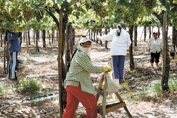 La desigualdad de género puede elevar coste de producir alimentos, según FAO