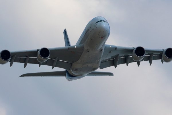 Anhelo de más espacio en asientos de aviones se ha desvanecido