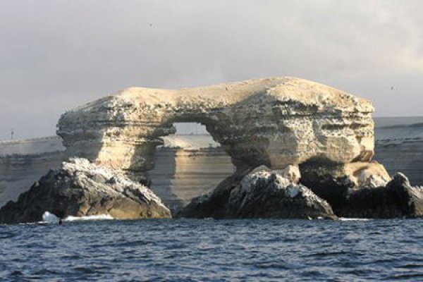 Tribunal Ambiental de Antofagasta inaugura sala de audiencia