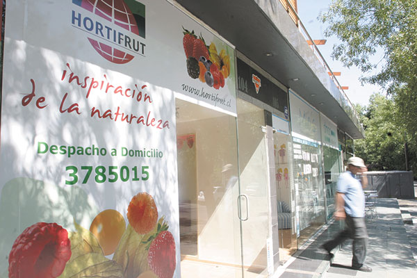 Hortifrut realiza remate del 7,5% de sus acciones