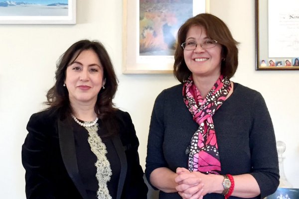 Chile y Bolivia abordan cooperación en salud, turismo y cultura