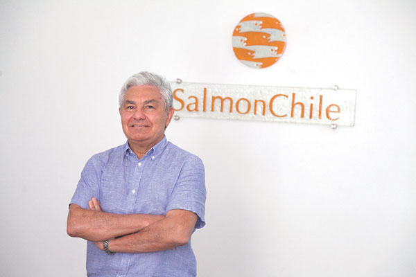 Salmon chile pone paños fríos a fuga de salmones de Marine Harvest