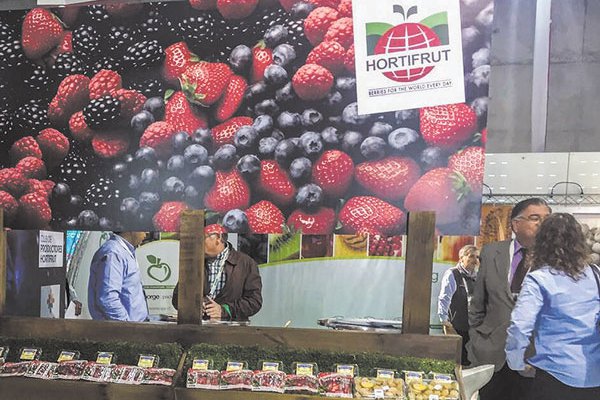 Familia Novión reordena participación en Hortifrut